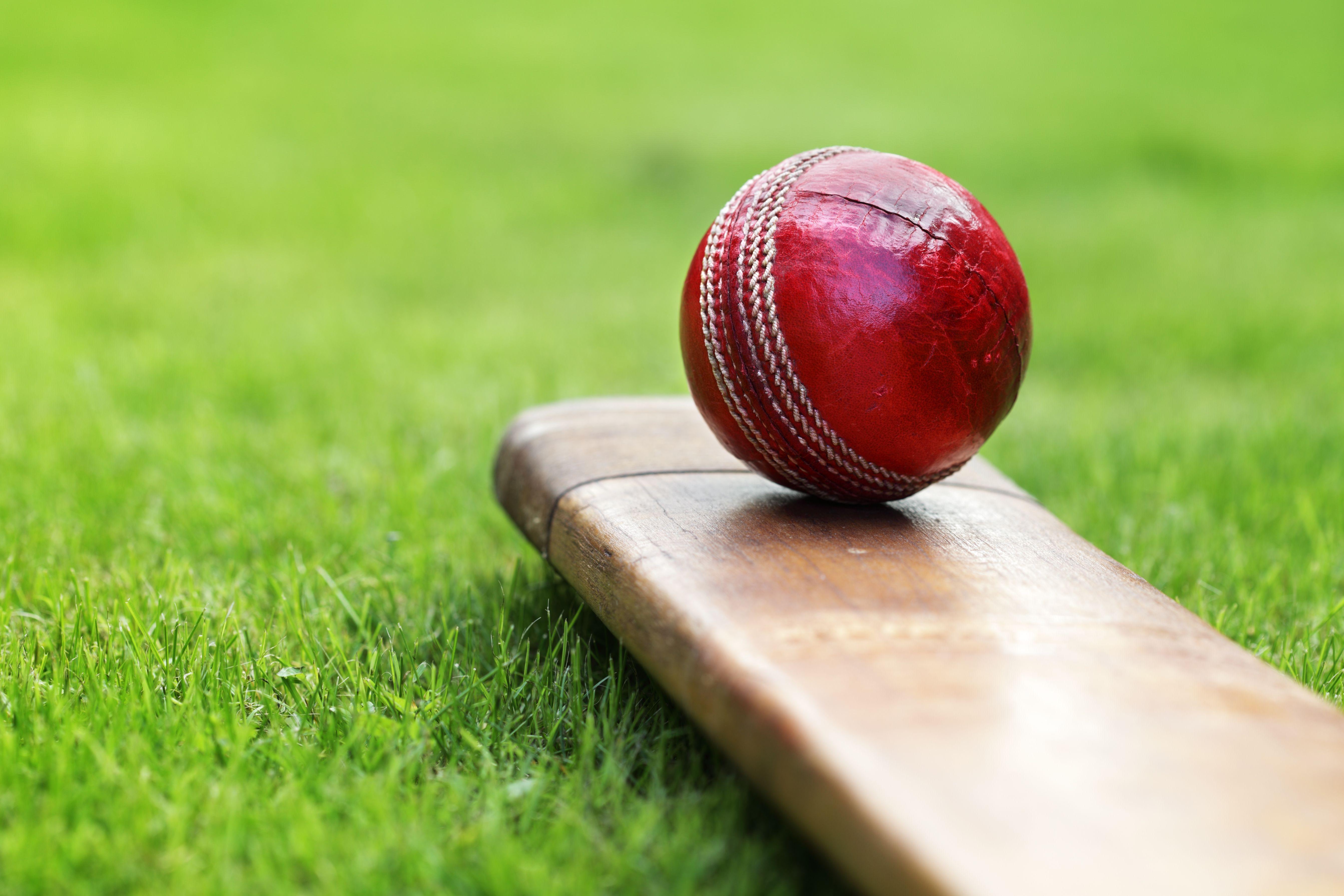 Norden Cricket Club festival brings community together today
