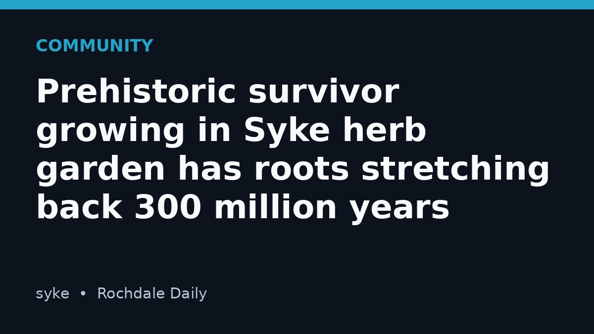Prehistoric survivor growing in Syke herb garden has roots stretching back 300 million years